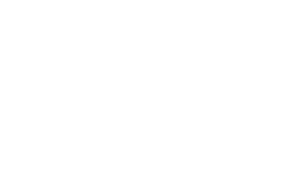 Logo du client