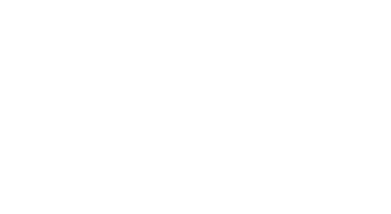 Logo du client
